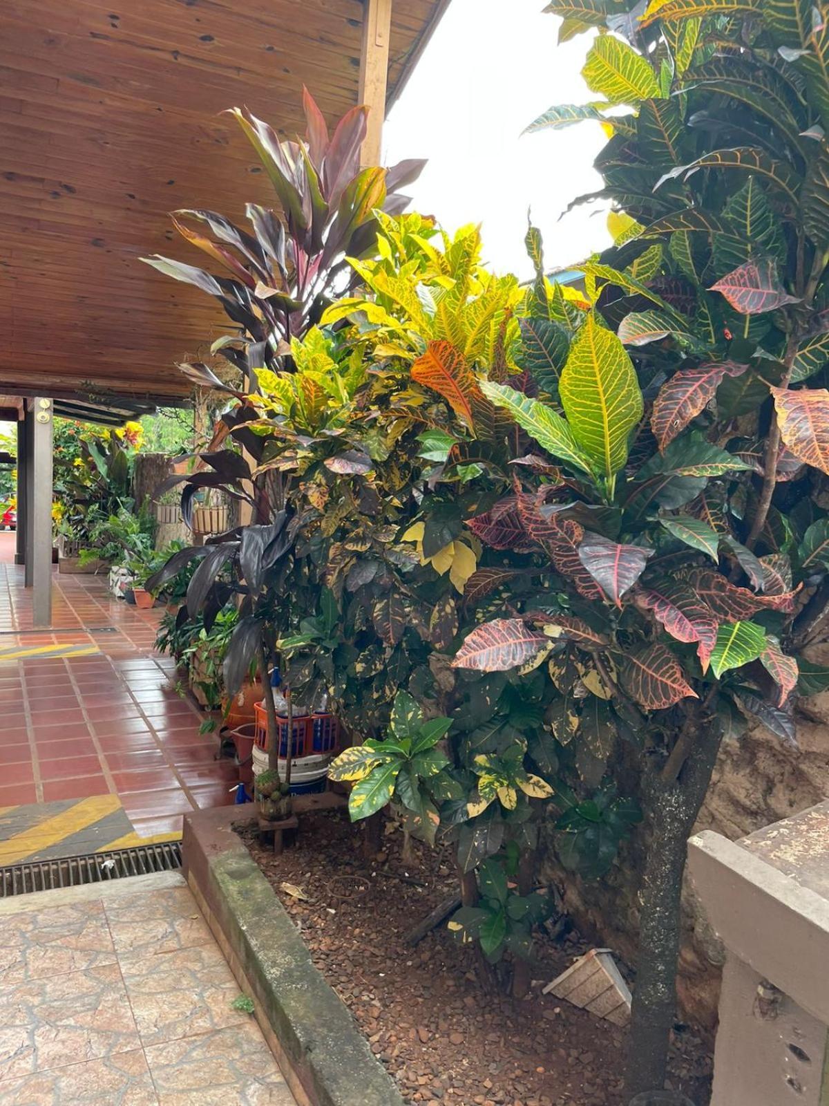 Residencial Arcoiris Hotel Puerto Iguazu Exterior photo